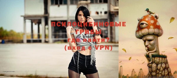 бошки Алексеевка