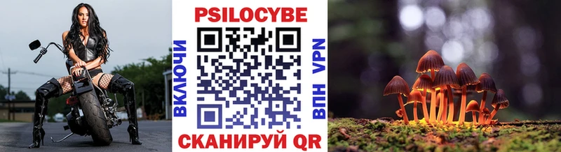 что такое   Перевоз  Галлюциногенные грибы прущие грибы 